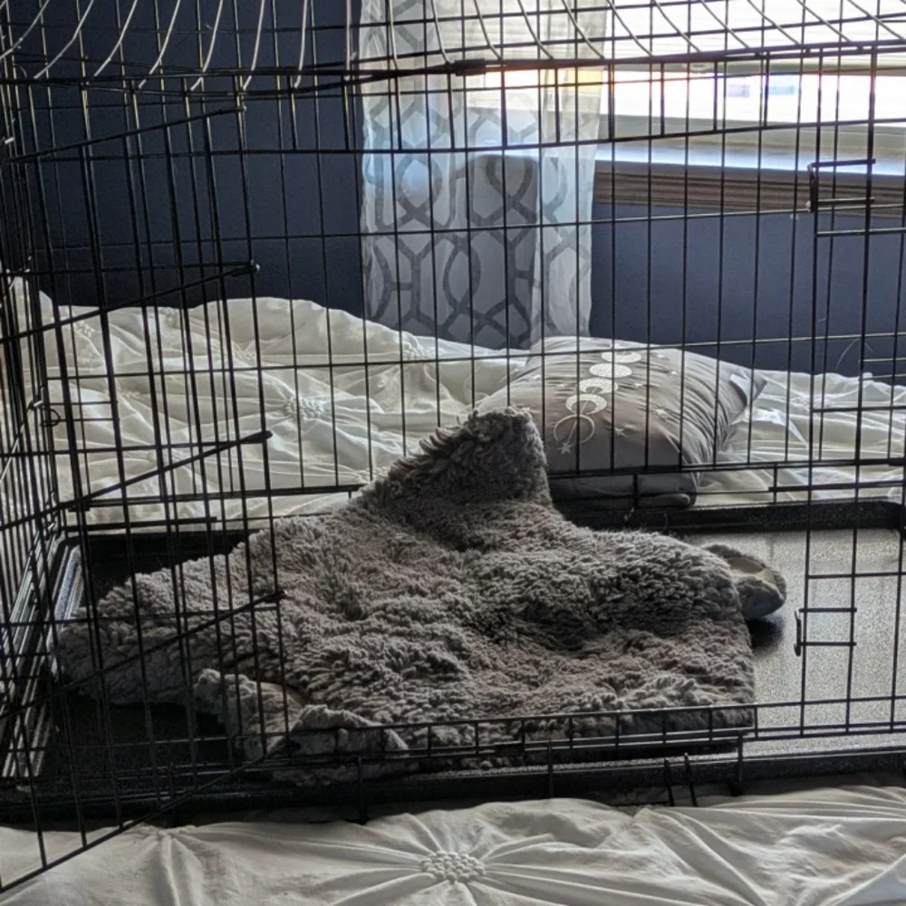 Extra large dog kennel